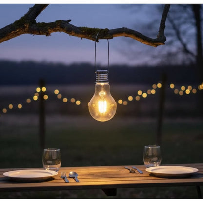 Lampa solara Hoff, cu bec LED, plastic si sticla, inaltime 25.5 cm, exterior, IP44, cu carlig, lumina ambientala