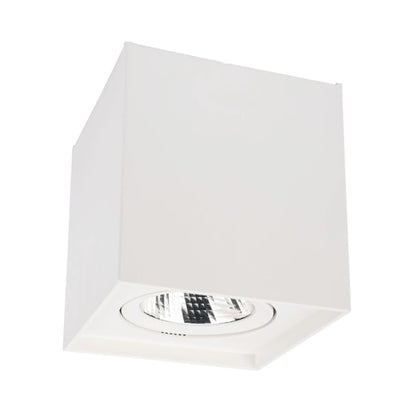 Spot LED aparent, 10 W, 1270 lm, lumina neutra, orientabil, alb mat, 220V, 11.1 cm inaltime, patrat